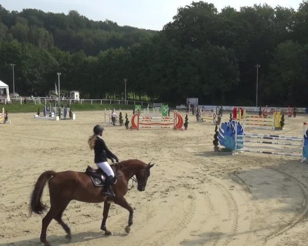Bergisch Classics - Bergisch Gladbach - Springen 2021