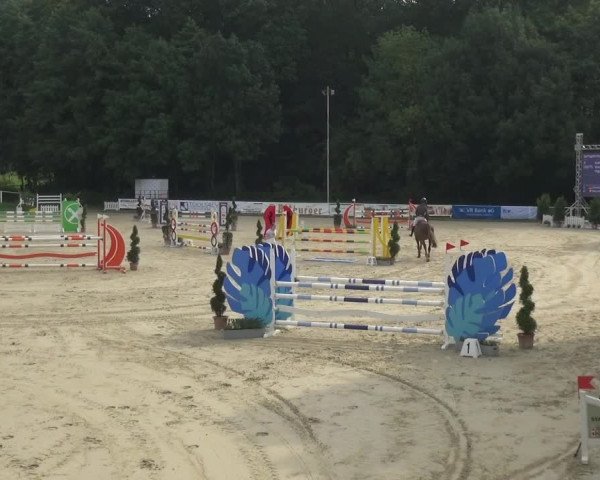 Bergisch Classics - Bergisch Gladbach - Springen 2021