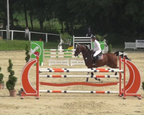 Bergisch Classics - Bergisch Gladbach - Springen 2021