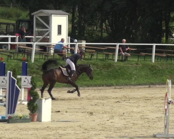 Bergisch Classics - Bergisch Gladbach - Springen 2021
