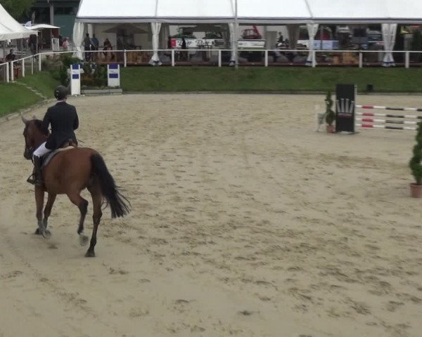 Bergisch Classics - Bergisch Gladbach - Springen 2021