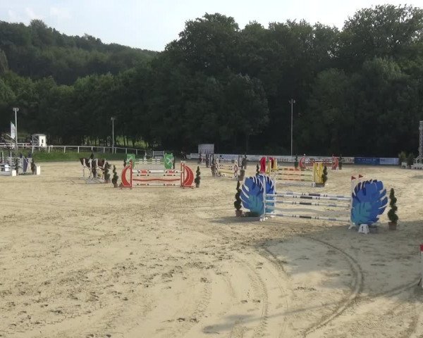 Bergisch Classics - Bergisch Gladbach - Springen 2021