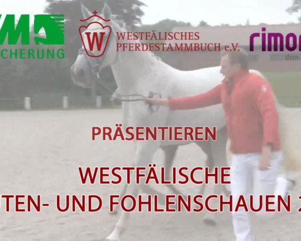 Stuten- und Fohlenschau in Lengerich 2016