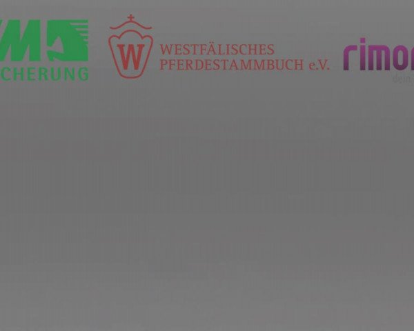Stuten- und Fohlenschau in Gevelsberg- Berge 2016