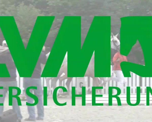 Stuten- und Fohlenschau in Emsbüren 2016