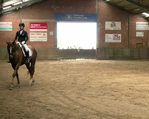Reitturnier Kirchhoven-Vinn 2021