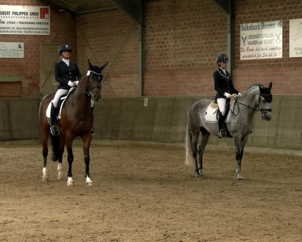 Reitturnier Kirchhoven-Vinn 2021