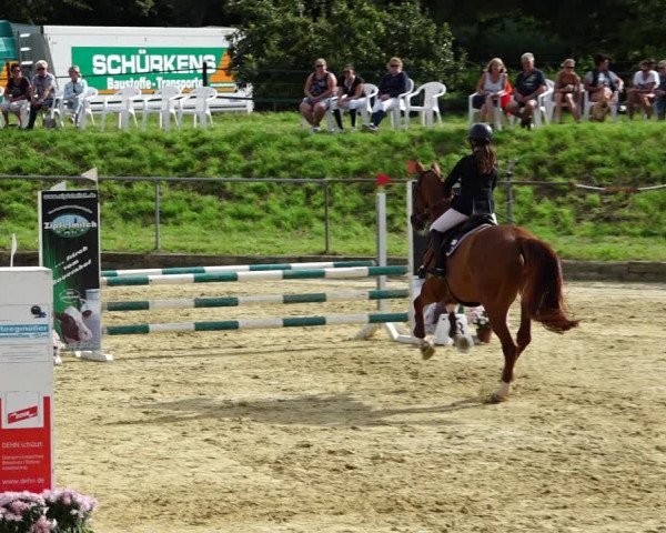 Reitturnier Kirchhoven-Vinn 2021