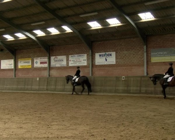 Reitturnier Kirchhoven-Vinn 2021