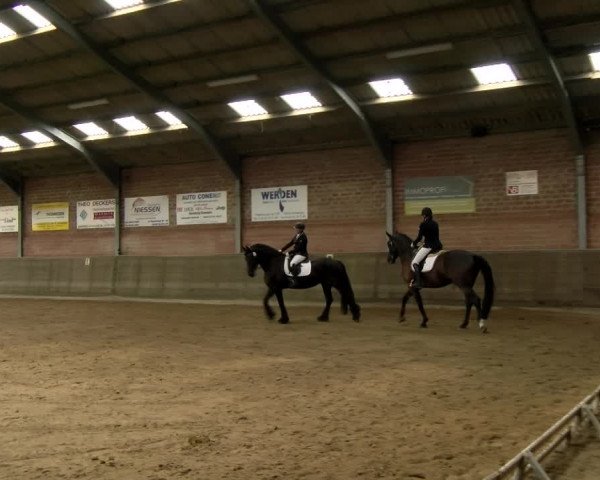 Reitturnier Kirchhoven-Vinn 2021