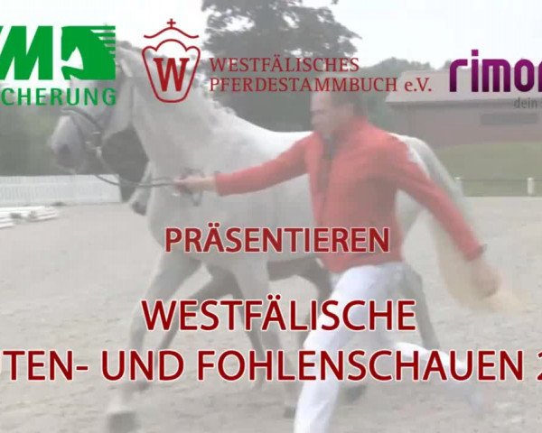 Stuten- und Fohlenschau in Delbrück 2016