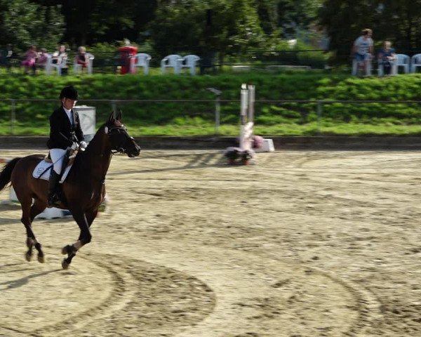 Reitturnier Kirchhoven-Vinn 2021