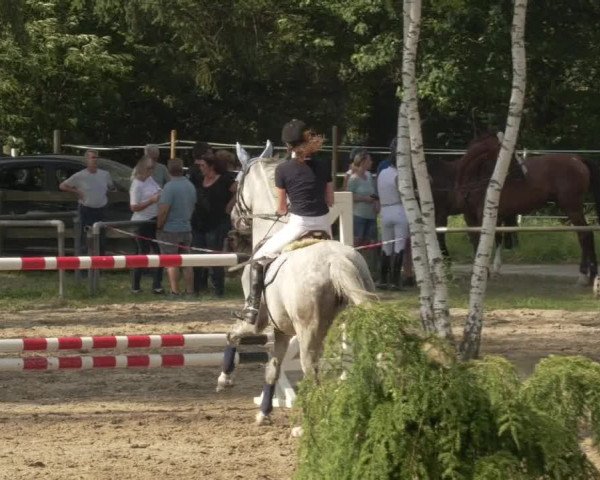 Springturnier und Reiterfest Königsbach 2021