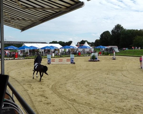 Reitturnier Kirchhoven-Vinn 2021
