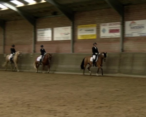 Reitturnier Kirchhoven-Vinn 2021