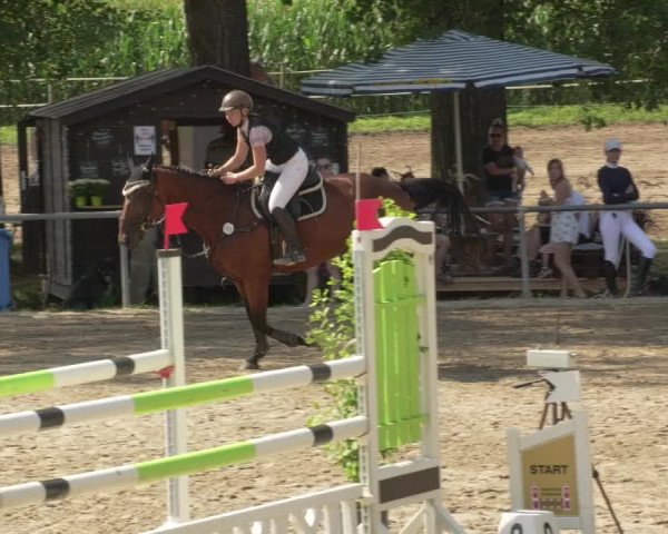 Springturnier und Reiterfest Königsbach 2021