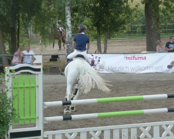 Springturnier und Reiterfest Königsbach 2021