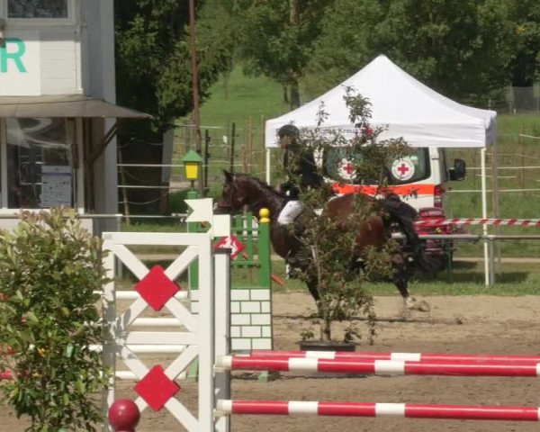 Springturnier und Reiterfest Königsbach 2021