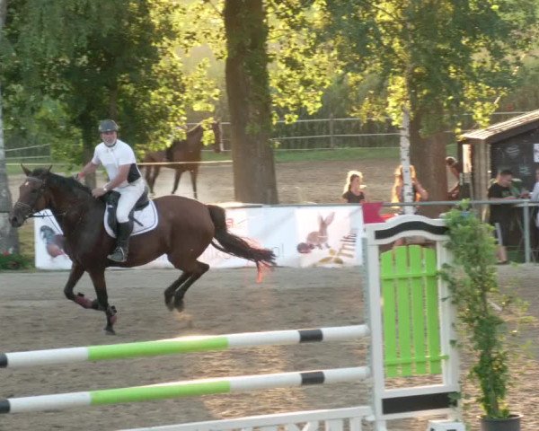 Springturnier und Reiterfest Königsbach 2021
