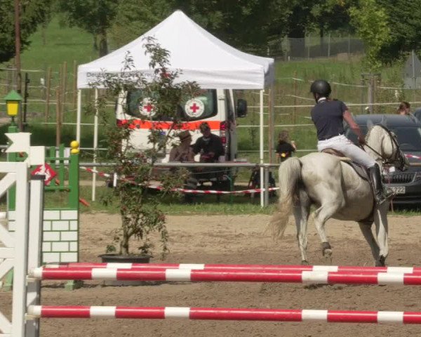 Springturnier und Reiterfest Königsbach 2021