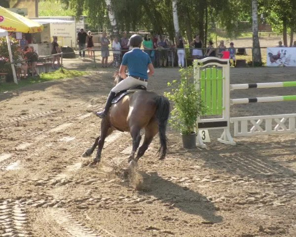 Springturnier und Reiterfest Königsbach 2021