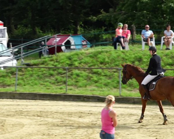 Reitturnier Kirchhoven-Vinn 2021