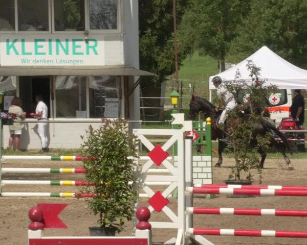 Springturnier und Reiterfest Königsbach 2021