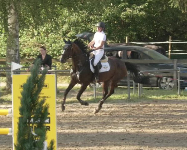 Springturnier und Reiterfest Königsbach 2021