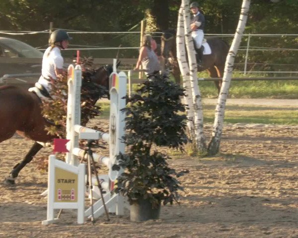 Springturnier und Reiterfest Königsbach 2021