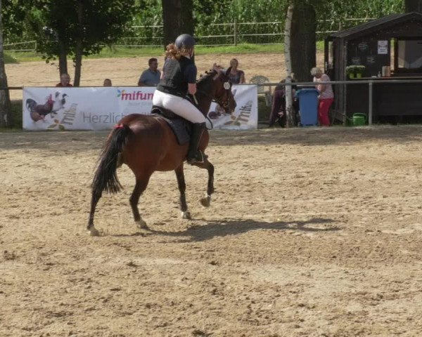 Springturnier und Reiterfest Königsbach 2021