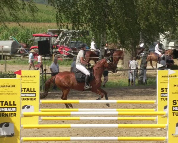 Springturnier und Reiterfest Königsbach 2021