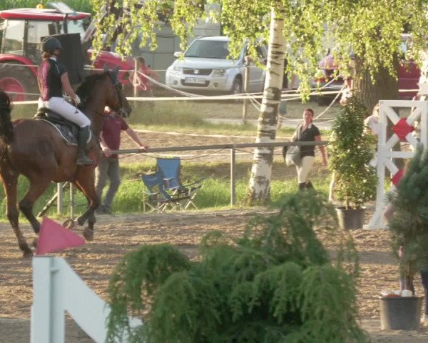 Springturnier und Reiterfest Königsbach 2021