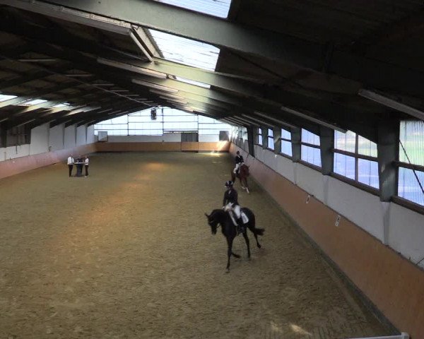 Reitturnier Datteln 2021