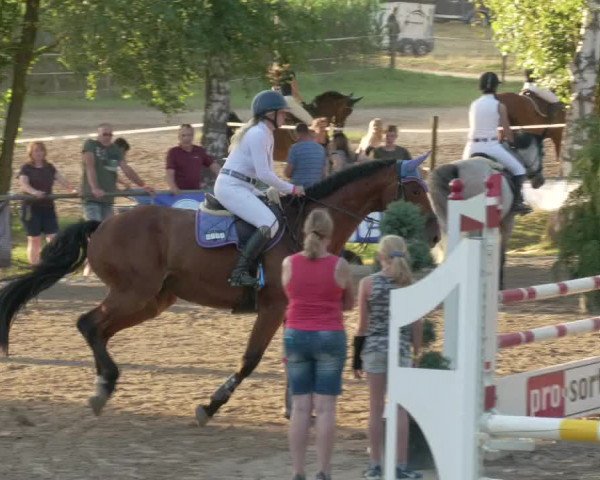 Springturnier und Reiterfest Königsbach 2021