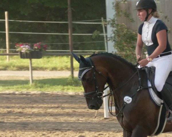 Springturnier und Reiterfest Königsbach 2021