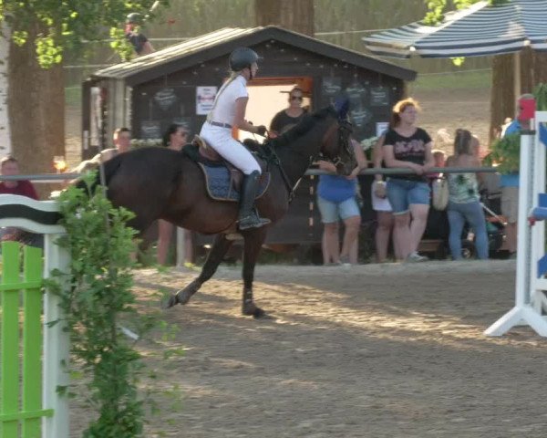 Springturnier und Reiterfest Königsbach 2021