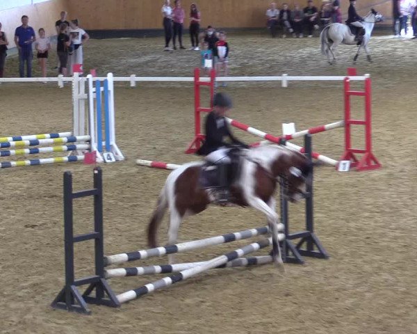 Reitturnier Datteln 2021