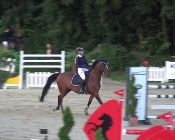 Bergisch Classics - Bergisch Gladbach - Springen 2021