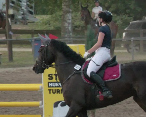 Springturnier und Reiterfest Königsbach 2021