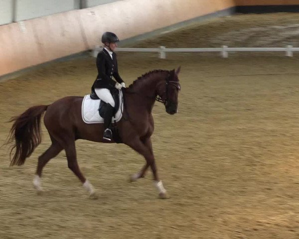 Reitturnier Datteln 2021