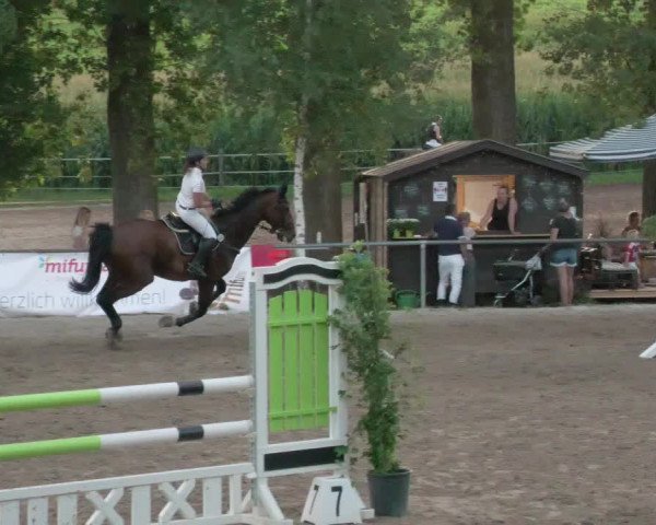 Springturnier und Reiterfest Königsbach 2021