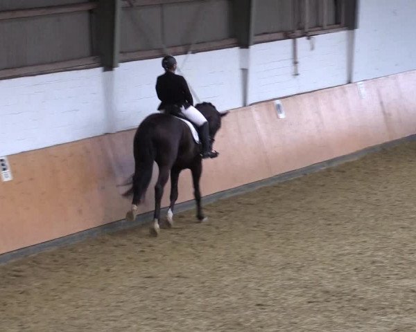 Reitturnier Datteln 2021