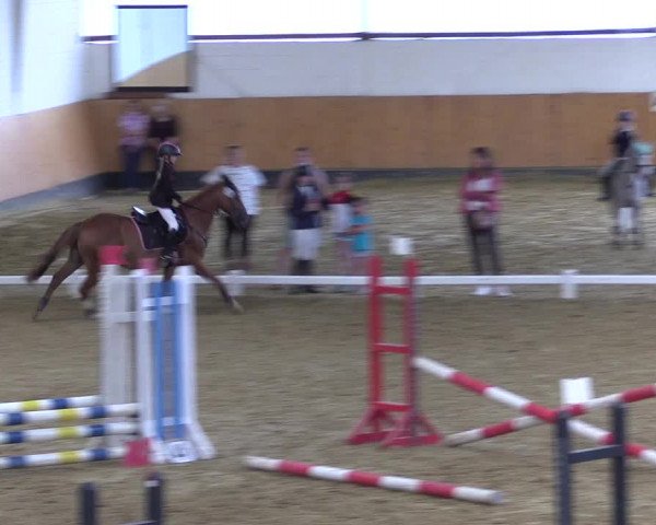 Reitturnier Datteln 2021