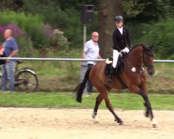 Reitturnier Datteln 2021