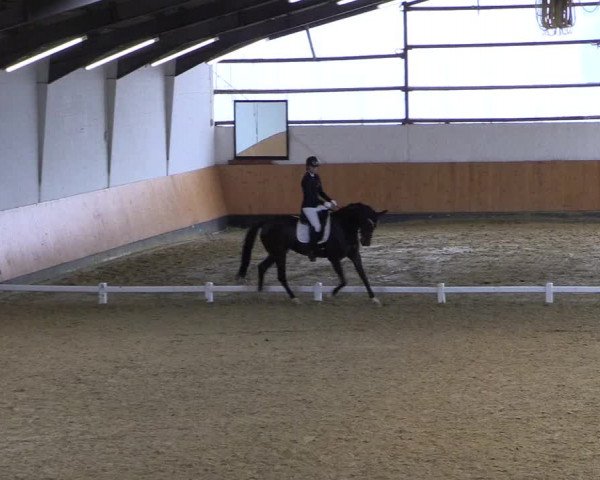 Reitturnier Datteln 2021