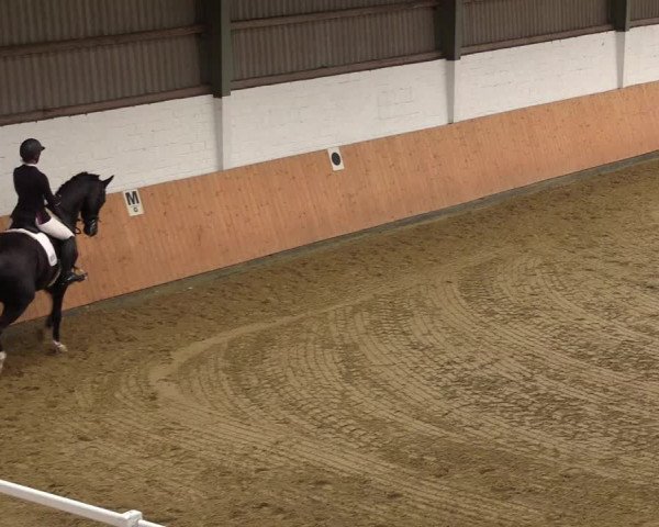 Reitturnier Datteln 2021
