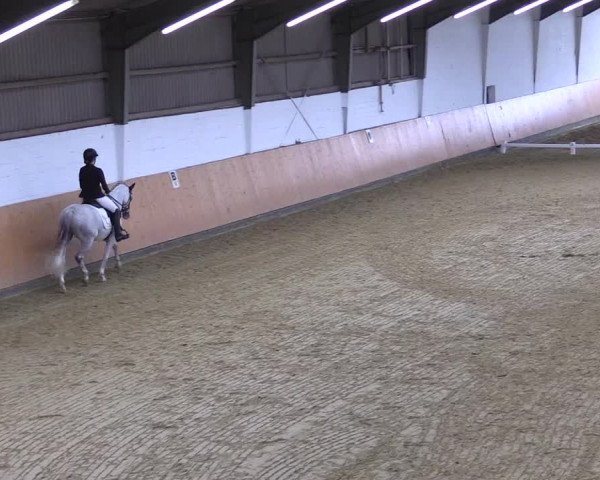 Reitturnier Datteln 2021