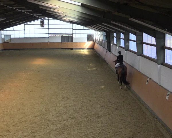 Reitturnier Datteln 2021
