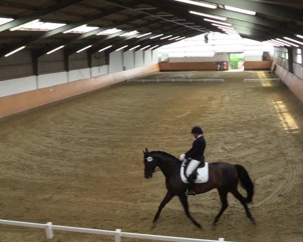 Reitturnier Datteln 2021