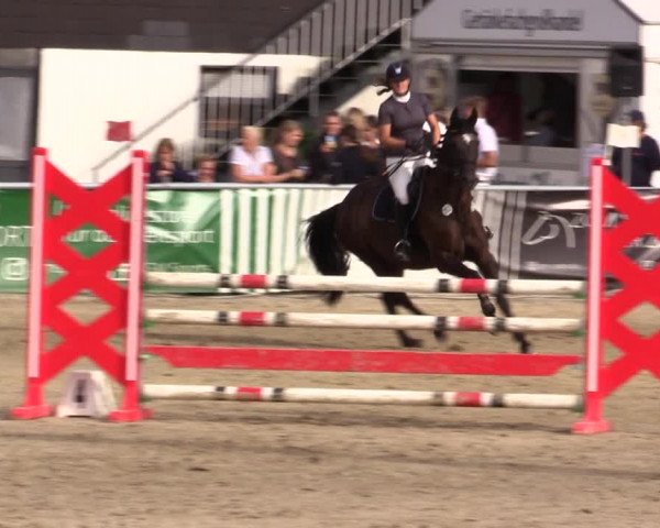 Reitturnier Datteln 2021